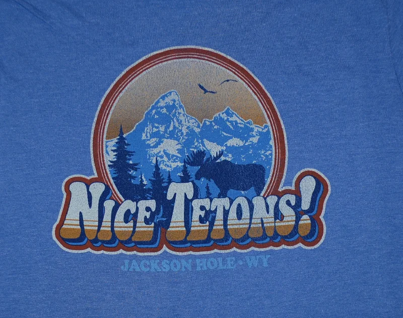 Men's short-sleeve bright deep-old-frayed tee-Nice Tetons